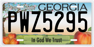 GA license plate PWZ5295