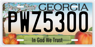GA license plate PWZ5300