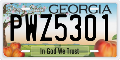GA license plate PWZ5301