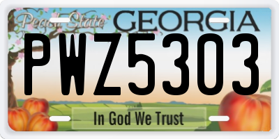 GA license plate PWZ5303