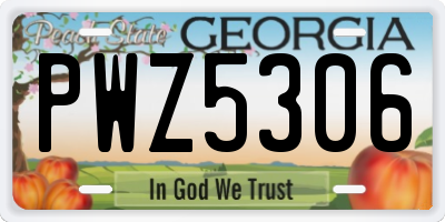 GA license plate PWZ5306