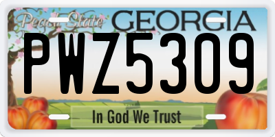 GA license plate PWZ5309