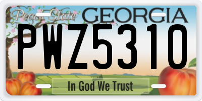 GA license plate PWZ5310