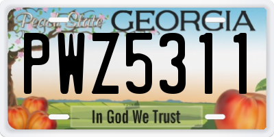 GA license plate PWZ5311