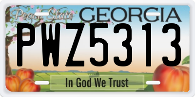 GA license plate PWZ5313