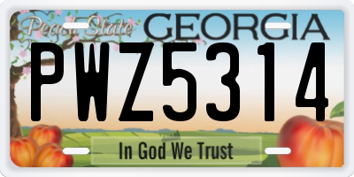 GA license plate PWZ5314