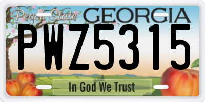 GA license plate PWZ5315