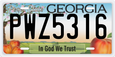 GA license plate PWZ5316