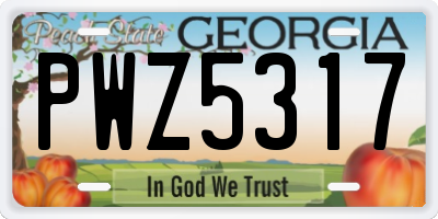 GA license plate PWZ5317