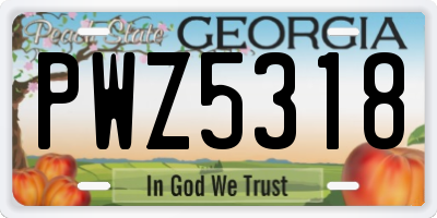 GA license plate PWZ5318