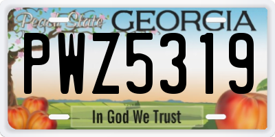 GA license plate PWZ5319