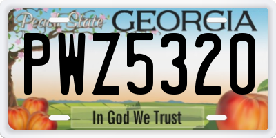 GA license plate PWZ5320