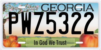GA license plate PWZ5322