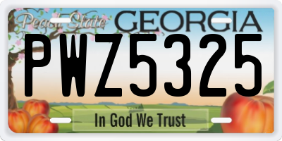 GA license plate PWZ5325