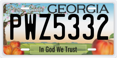 GA license plate PWZ5332