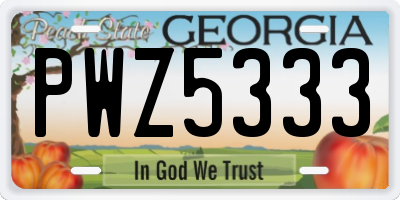 GA license plate PWZ5333