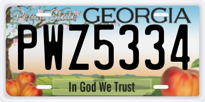 GA license plate PWZ5334