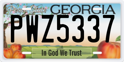 GA license plate PWZ5337