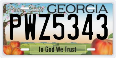 GA license plate PWZ5343