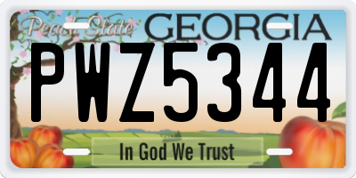 GA license plate PWZ5344