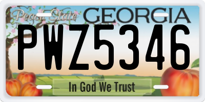 GA license plate PWZ5346