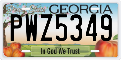 GA license plate PWZ5349