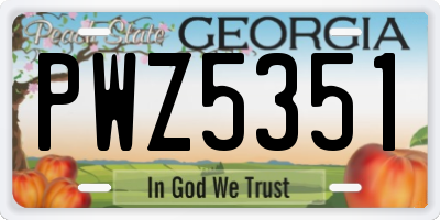 GA license plate PWZ5351