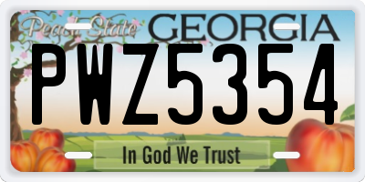 GA license plate PWZ5354