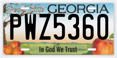 GA license plate PWZ5360