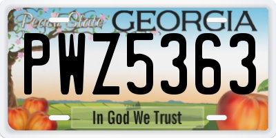GA license plate PWZ5363