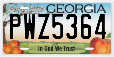 GA license plate PWZ5364
