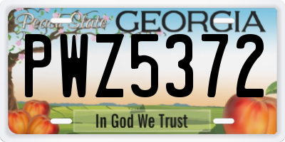 GA license plate PWZ5372