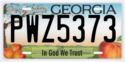 GA license plate PWZ5373