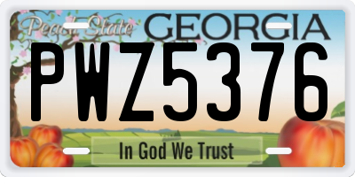 GA license plate PWZ5376