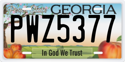 GA license plate PWZ5377