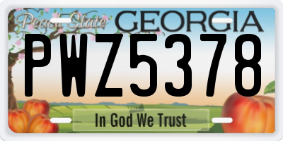 GA license plate PWZ5378