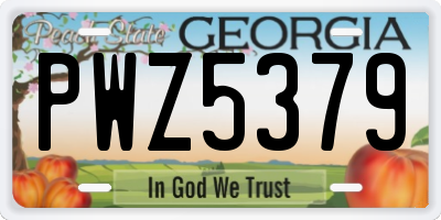 GA license plate PWZ5379