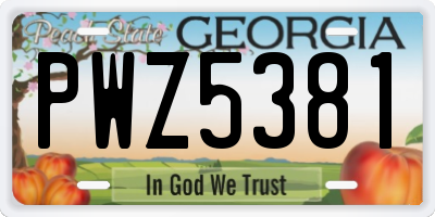 GA license plate PWZ5381