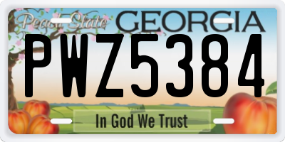 GA license plate PWZ5384