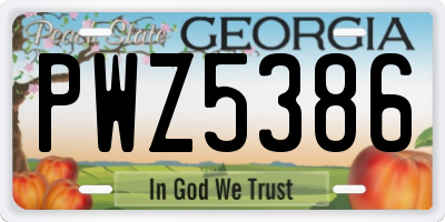 GA license plate PWZ5386