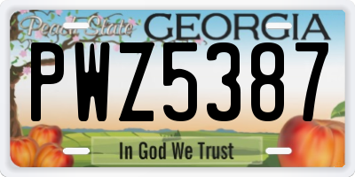 GA license plate PWZ5387