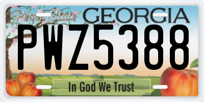 GA license plate PWZ5388