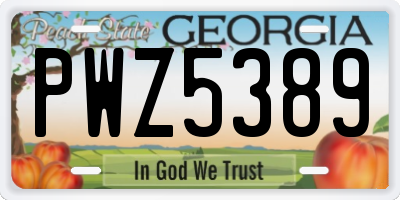 GA license plate PWZ5389