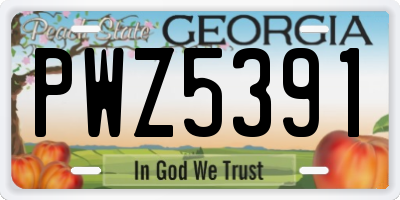 GA license plate PWZ5391