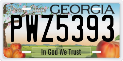 GA license plate PWZ5393