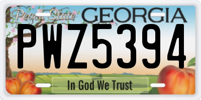 GA license plate PWZ5394