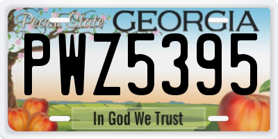GA license plate PWZ5395