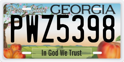 GA license plate PWZ5398
