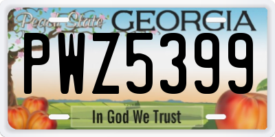 GA license plate PWZ5399