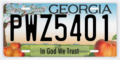 GA license plate PWZ5401